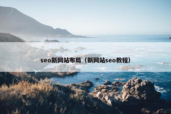 seo新网站布局（新网站seo教程）