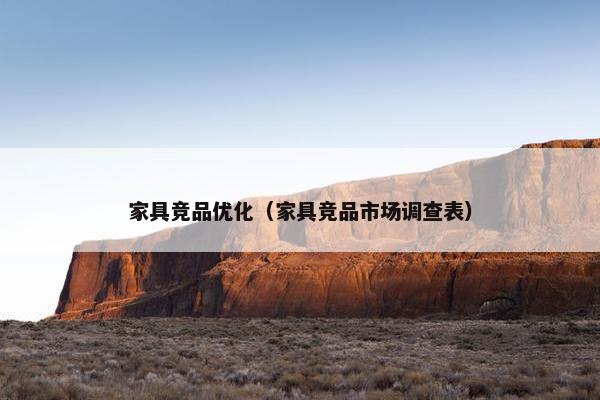 家具竞品优化（家具竞品市场调查表）