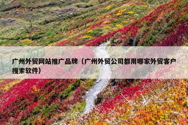 广州外贸网站推广品牌（广州外贸公司都用哪家外贸客户搜索软件）