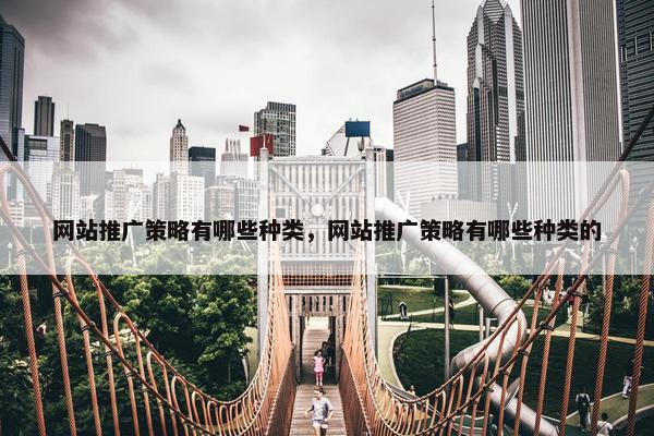 网站推广策略有哪些种类，网站推广策略有哪些种类的