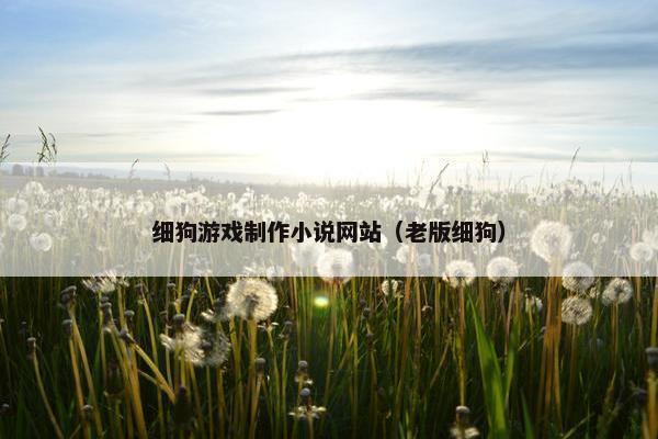 细狗游戏制作小说网站（老版细狗）
