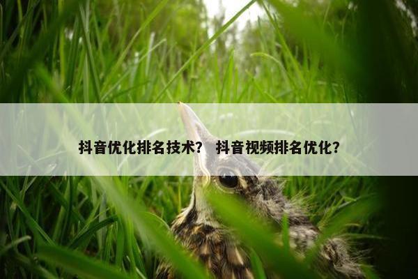 抖音优化排名技术？ 抖音视频排名优化？