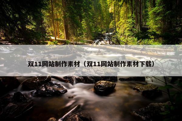 双11网站制作素材（双11网站制作素材下载）
