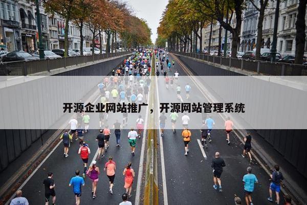 开源企业网站推广，开源网站管理系统