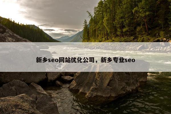 新乡seo网站优化公司，新乡专业seo