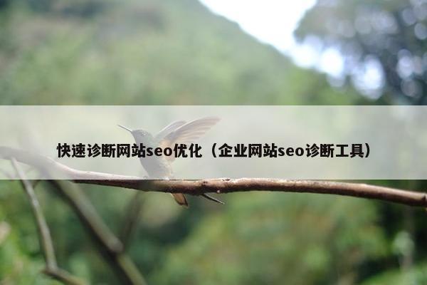 快速诊断网站seo优化（企业网站seo诊断工具）