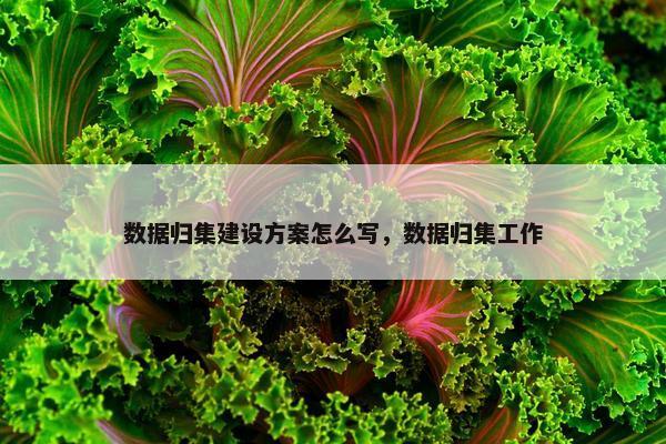 数据归集建设方案怎么写，数据归集工作