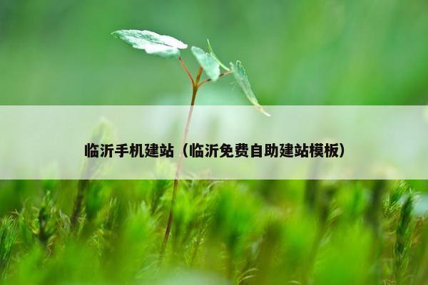 临沂手机建站（临沂免费自助建站模板）