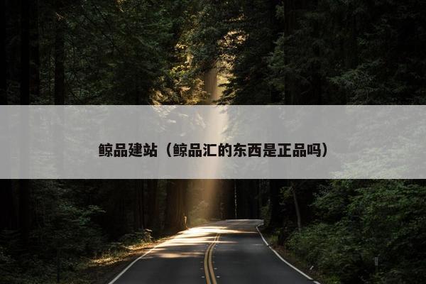 鲸品建站（鲸品汇的东西是正品吗）