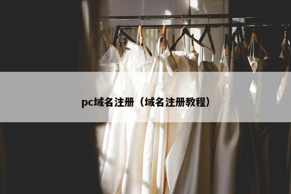 pc域名注册（域名注册教程）