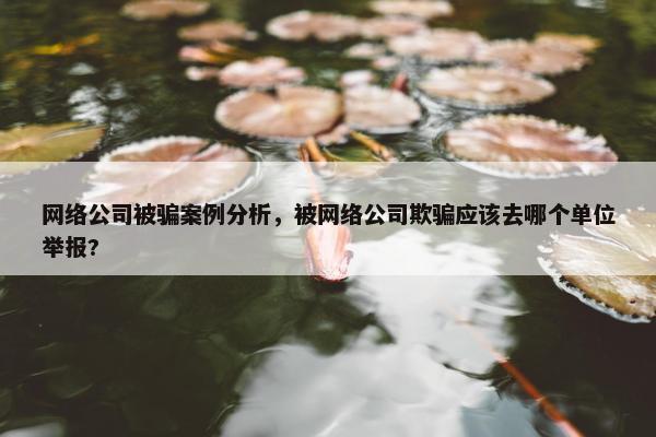 网络公司被骗案例分析，被网络公司欺骗应该去哪个单位举报?