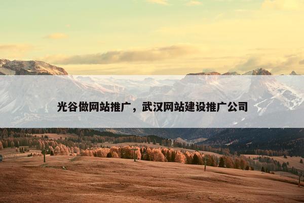 光谷做网站推广，武汉网站建设推广公司