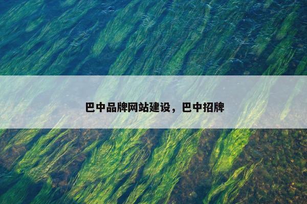 巴中品牌网站建设，巴中招牌