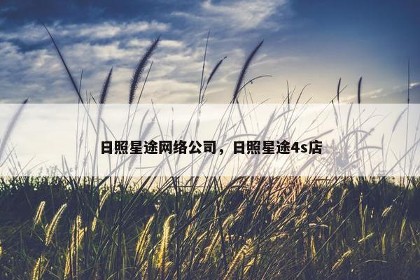 日照星途网络公司，日照星途4s店