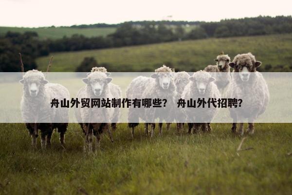 舟山外贸网站制作有哪些？ 舟山外代招聘？