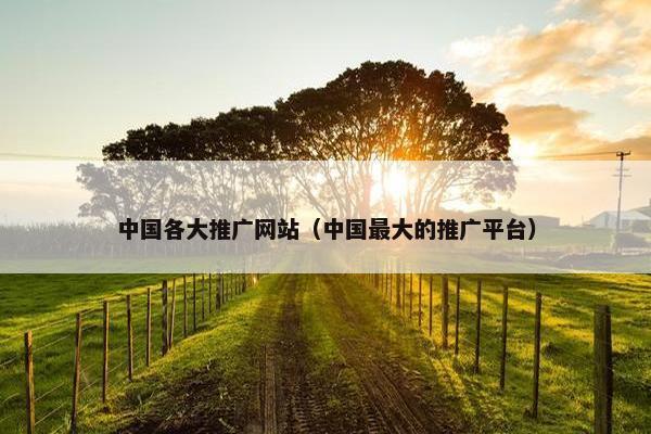 中国各大推广网站（中国最大的推广平台）