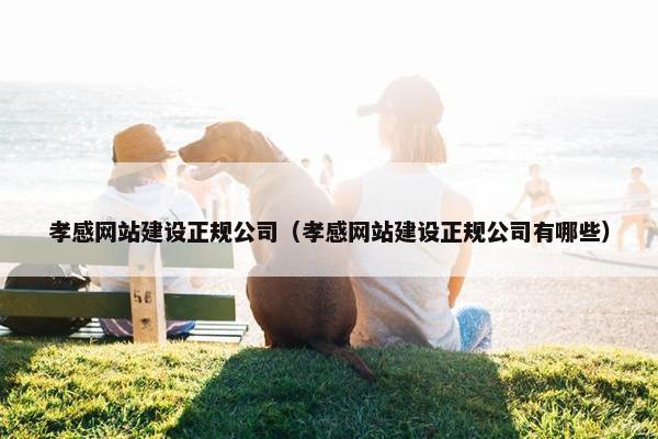 孝感网站建设正规公司（孝感网站建设正规公司有哪些）