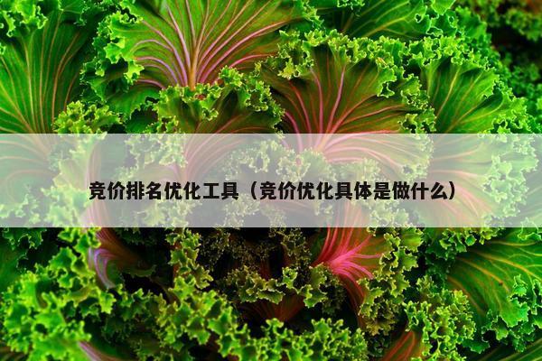 竞价排名优化工具（竞价优化具体是做什么）