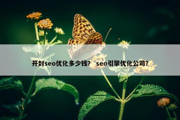开封seo优化多少钱？ seo引擎优化公司？