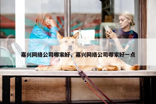 嘉兴网络公司哪家好，嘉兴网络公司哪家好一点