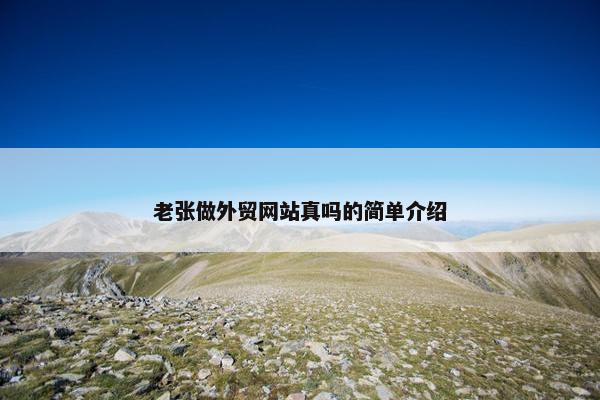 老张做外贸网站真吗的简单介绍