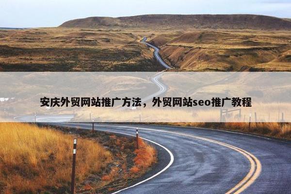 安庆外贸网站推广方法，外贸网站seo推广教程