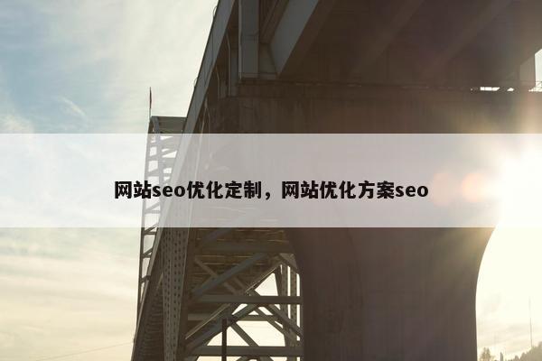 网站seo优化定制，网站优化方案seo