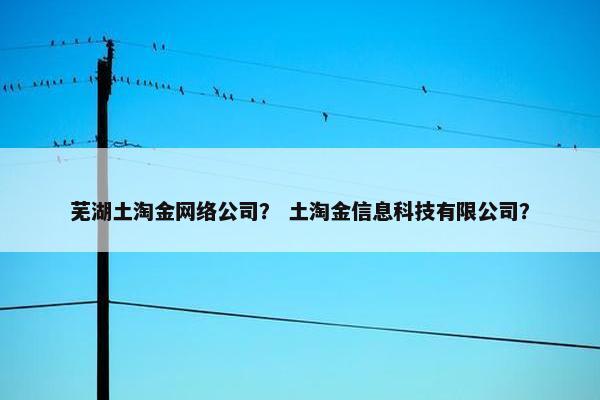 芜湖土淘金网络公司？ 土淘金信息科技有限公司？