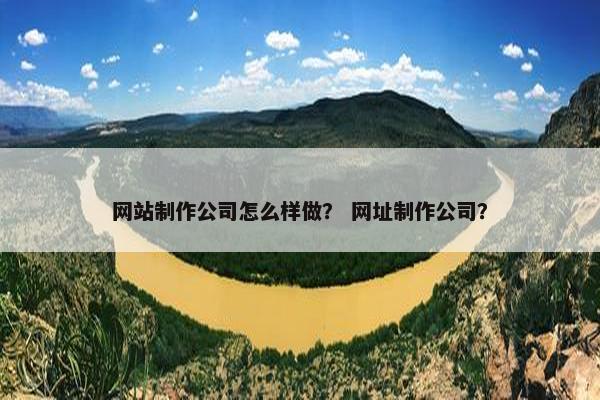 网站制作公司怎么样做？ 网址制作公司？