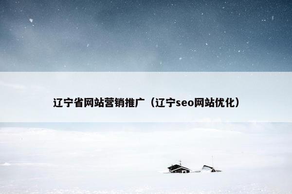 辽宁省网站营销推广（辽宁seo网站优化）