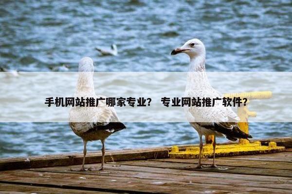 手机网站推广哪家专业？ 专业网站推广软件？