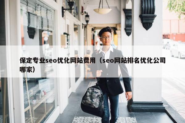 保定专业seo优化网站费用（seo网站排名优化公司哪家）
