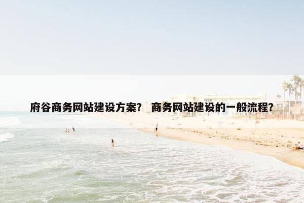 府谷商务网站建设方案？ 商务网站建设的一般流程？