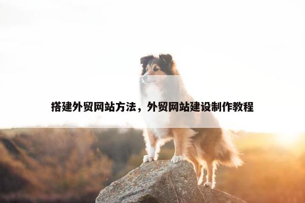 搭建外贸网站方法，外贸网站建设制作教程