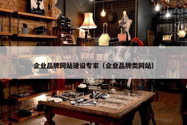 企业品牌网站建设专家（企业品牌类网站）