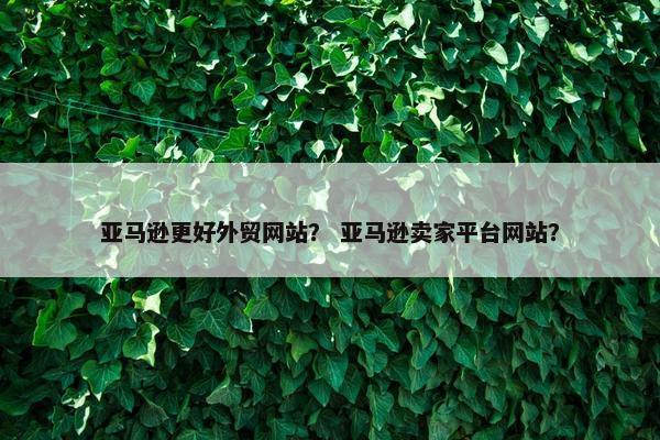 亚马逊更好外贸网站？ 亚马逊卖家平台网站？
