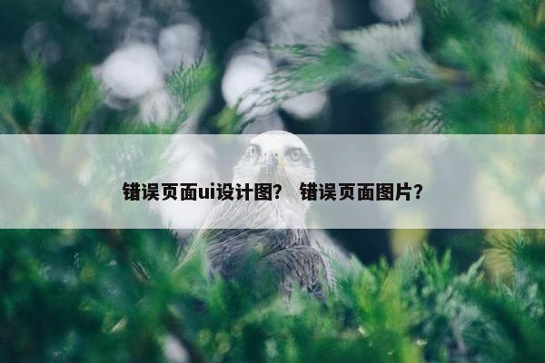 错误页面ui设计图？ 错误页面图片？