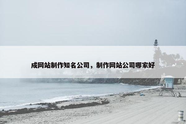成网站制作知名公司，制作网站公司哪家好