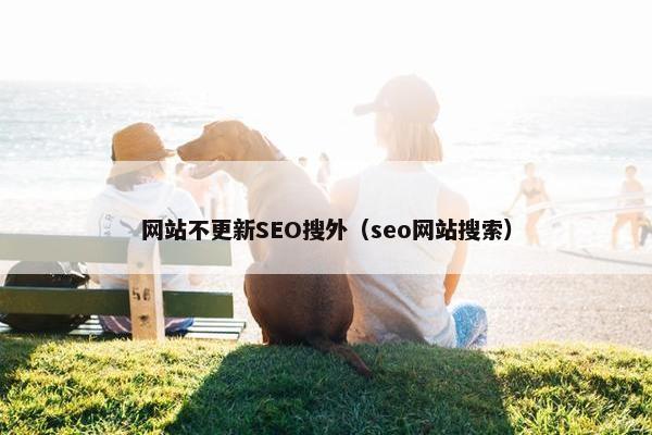 网站不更新SEO搜外（seo网站搜索）