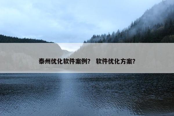 泰州优化软件案例？ 软件优化方案？