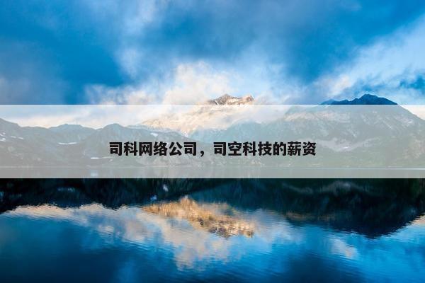 司科网络公司，司空科技的薪资