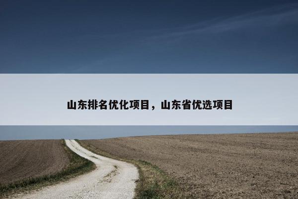 山东排名优化项目，山东省优选项目