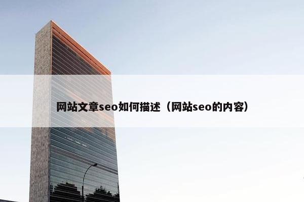网站文章seo如何描述（网站seo的内容）