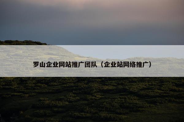 罗山企业网站推广团队（企业站网络推广）