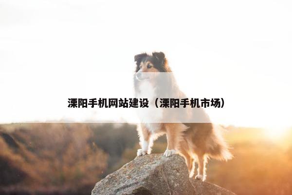 溧阳手机网站建设（溧阳手机市场）