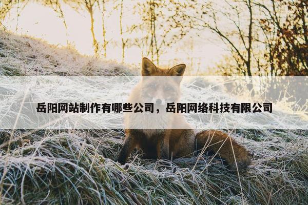 岳阳网站制作有哪些公司，岳阳网络科技有限公司
