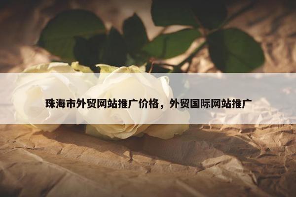 珠海市外贸网站推广价格，外贸国际网站推广