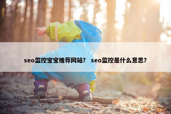 seo监控宝宝推荐网站？ seo监控是什么意思？