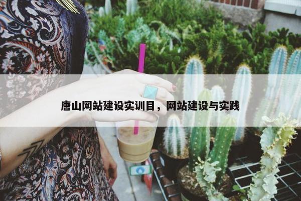 唐山网站建设实训目，网站建设与实践