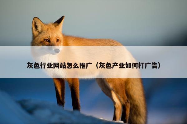 灰色行业网站怎么推广（灰色产业如何打广告）